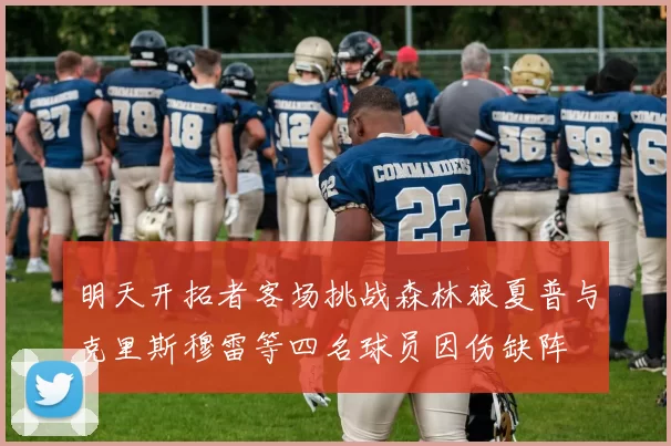 明天开拓者客场挑战森林狼夏普与克里斯穆雷等四名球员因伤缺阵