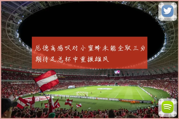 厄德高感叹对小蜜蜂未能全取三分期待足总杯中重振雄风