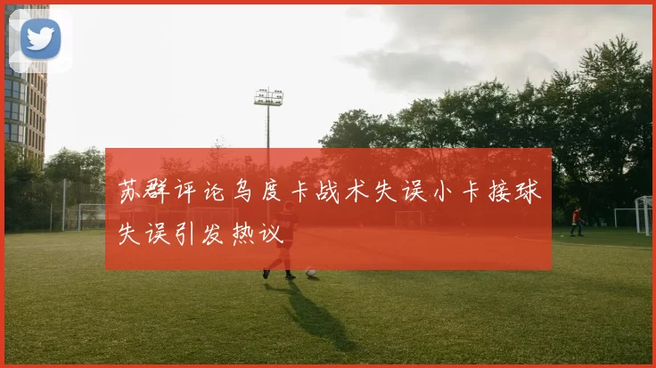 苏群评论乌度卡战术失误小卡接球失误引发热议